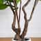 6ft. Artificial Audrey Ficus Leaf Tree in White Decorative Planter
